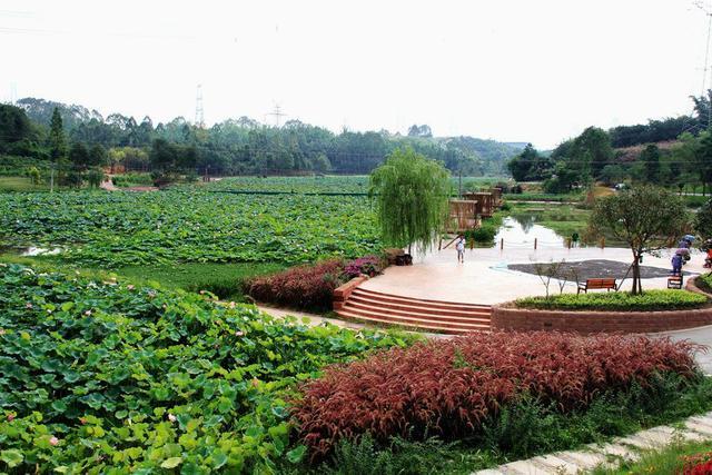 1521184948132012.jpg 1521166856139999.jpg