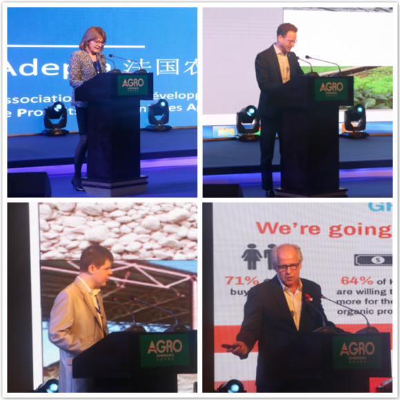 1524743236998595.jpg 5.jpg