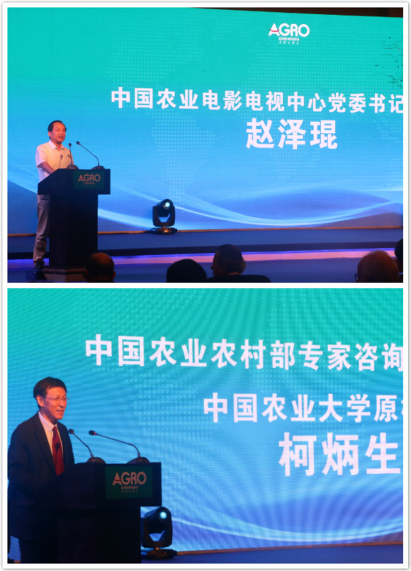 1524743248124202.jpg _6.jpg