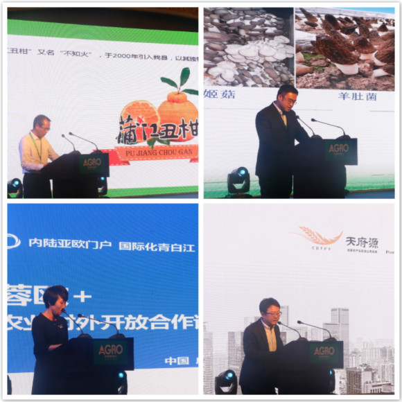 1524743317130545.jpg 7.jpg